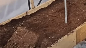 点胶针头规格怎么选