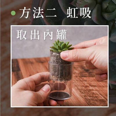 胶水器规格怎么看 胶水器规格怎么看 胶水器