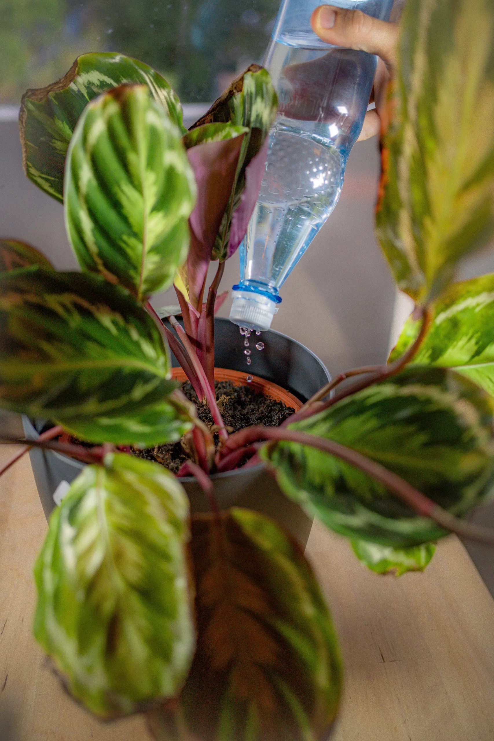 胶水器怎么换胶